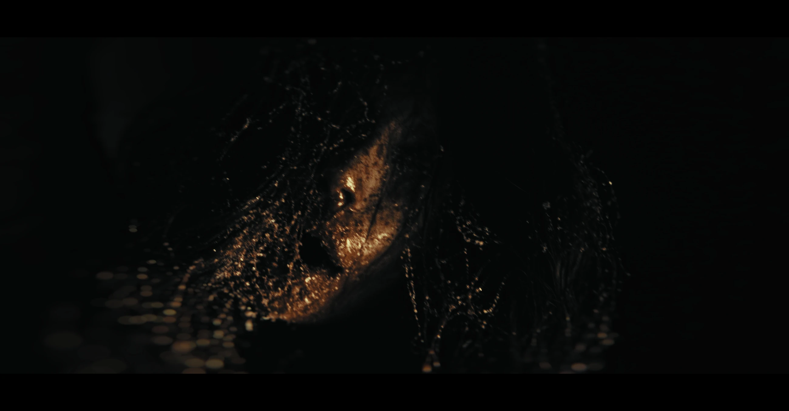A face emerges through water and darkness in The Maze.