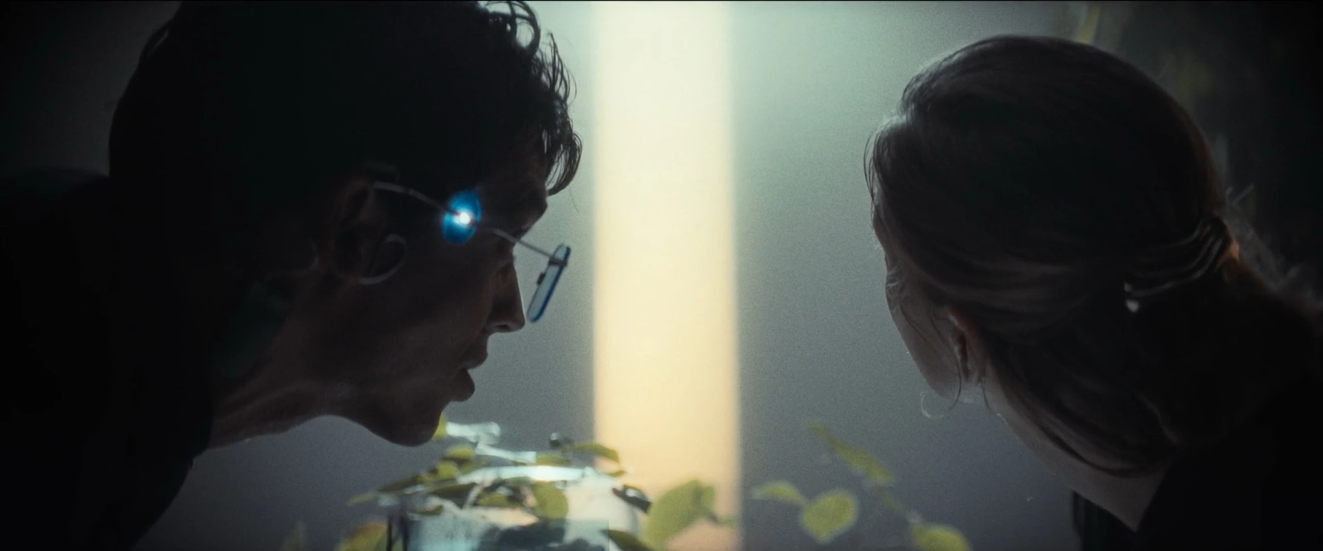 A young man and woman face each other beside plants in Herr L.